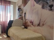 Satılır 3 otaqlı köhnə tikili 70 m², Neftçilər m., photo 7 from 8