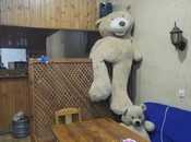 İcarəyə verilir  obyekt 85 m², Yeni Yasamal q., photo 8 from 8