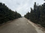 Satılır  torpaq 12 sot, Şüvəlan q., photo 3 from 6