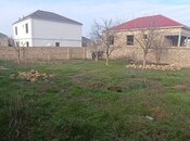 Объявление №5834968 - Баку, пос. Сарай, 4.8 сот