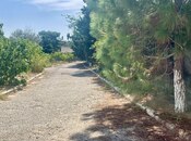 Продаётся  участок 45 сот, пос. Мардакан, photo 6 from 6