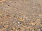 Продаётся  участок 25 сот, photo 4 from 7