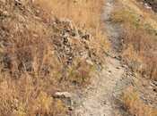 Продаётся  участок 25 сот, photo 6 from 7