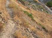 Объявление №5835139 - Гянджа, Гянджа, 25 сот