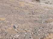 Продаётся  участок 25 сот, photo 2 from 7