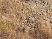 Продаётся  участок 25 сот, photo 5 from 7