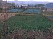 Продаётся 8-комн. дом/дача 185 м², Кедабек р., photo 6 from 8