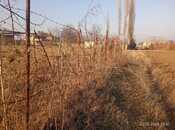 Elan №5835397 - Tovuz, Tovuz, 8 sot