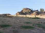 Объявление №5835426 - Баку, пос. Зых, 6 сот