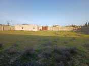 Объявление №5835454 - Баку, пос. Зире, 12 сот