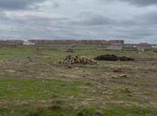 Продаётся  участок 4 сот, пос. Мушфигабад, photo 3 from 4