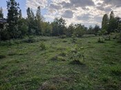 Объявление №5835475 - Ленкорань, Ленкорань, 12 сот