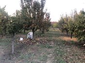 Satılır 5 otaqlı həyət evi/bağ evi 500 m², photo 6 from 8