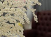 İcarəyə verilir  obyekt 85 m², Nizami m., photo 5 from 5