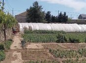 Объявление №5836616 - Баку, пос. Тюркан, 21 сот