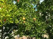 Продаётся 3-комн. дом/дача 140 м², пос. Новханы, photo 2 from 8