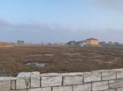 Объявление №5837904 - Баку, пос. Мардакан, 12 сот