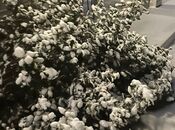 Продаётся 4-комн. дом/дача 170 м², м. Азадлыг проспекти, photo 4 from 5