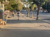 Satılır  obyekt 120 m², Elmlər Akademiyası m., photo 3 from 8