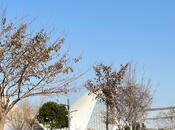 Продаётся 4-комн. новостройка 255 м², м. Нариман Нариманов, photo 2 from 8