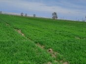 Elan №5838460 - Samux, Samux, 220 sot