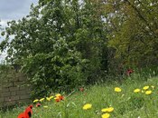 Объявление №5839252 - Гянджа, Гянджа, 31 сот