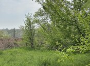 Продаётся  участок 31 сот, photo 5 from 8