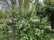 Продаётся  участок 31 сот, photo 4 from 8