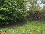 Продаётся  участок 31 сот, photo 8 from 8