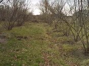 Satılır 4 otaqlı həyət evi/bağ evi 100 m², Xaçmaz r., photo 3 from 8