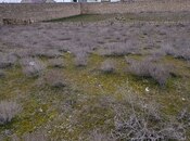 Объявление №5840365 - Баку, пос. Тюркан, 5 сот