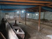 Satılır 3 otaqlı həyət evi/bağ evi 65 m², photo 5 from 8