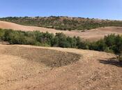 Elan №5841669 - Şamaxı, Şamaxı, 600 sot