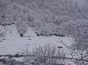 Сдаётся 3-комн. дом/дача 100 м², photo 4 from 8