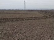 Satılır  torpaq 252 sot, photo 2 from 2