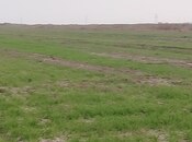 Elan №5842595 - Hacıqabul, Hacıqabul, 900 sot