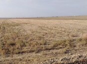 Satılır  torpaq 900 sot, photo 3 from 4