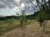 Продаётся  участок 400 сот, photo 6 from 6