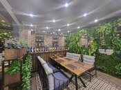 Сдаётся  объект 280 м², м. Сахил, photo 4 from 6