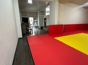 Продаётся  объект 200 м², м. Гянджлик, photo 5 from 8