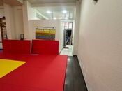 Продаётся  объект 200 м², м. Гянджлик, photo 4 from 8