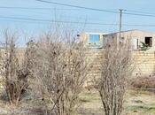 Satılır 3 otaqlı həyət evi/bağ evi 120 m², Novxanı q., photo 5 from 8