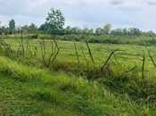 Объявление №5843283 - Ленкорань, Ленкорань, 4.5 сот