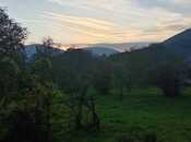 Объявление №5843801 - Шеки, Шеки, 30 сот