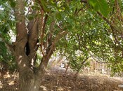 Satılır  torpaq 17 sot, Masazır q., photo 7 from 7