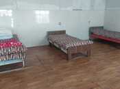 İcarəyə verilir  obyekt 16 000 m², Xaçmaz r., photo 3 from 8