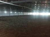 İcarəyə verilir  obyekt 16 000 m², Xaçmaz r., photo 7 from 8