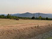 Продаётся  участок 4 сот, photo 8 from 8