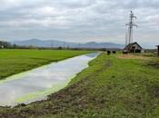 Продаётся  участок 4 сот, photo 5 from 8