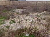 Satılır  torpaq 6 sot, Türkan q., photo 3 from 3